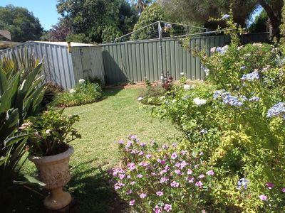 10 Wills Street, Dubbo