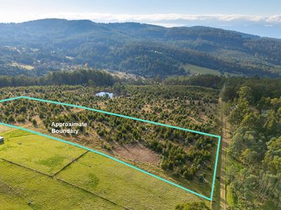 Lot 7 off Paddys Lane, Franklin