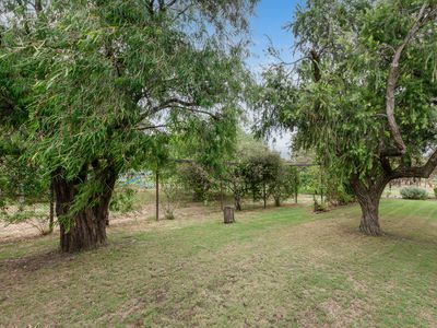 20 Precolumb Road, One Tree Hill