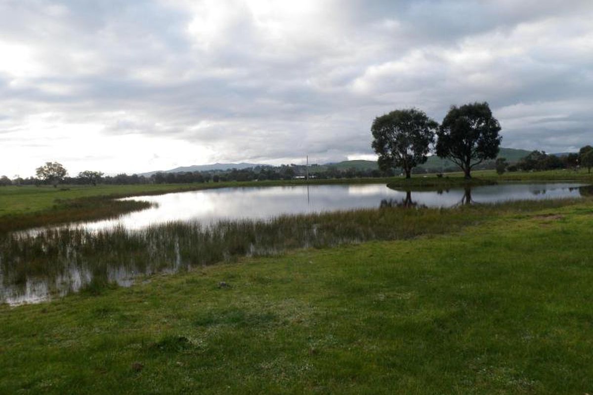 157 Ogilvies Road, Mansfield