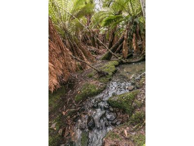 Ra Brittains Road, Garden Island Creek