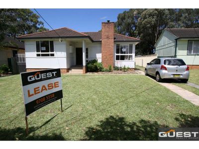 15 Cantrell Street, Yagoona