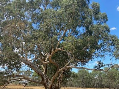 28 Ring Lane, Tooborac