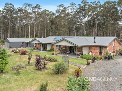 46 Eucalypt Lane, Tomerong