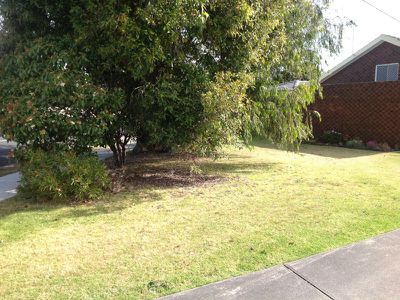 2 / 236 High Street, Belmont