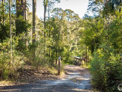 212 Ridge Road, Central Tilba