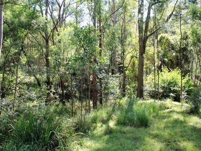205A Tallowa Dam Rd, Kangaroo Valley
