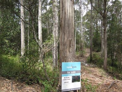 Lot 1 Toby's Hill Road, Cygnet