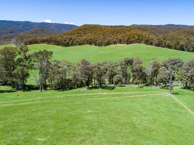 3724 Tallangatta Creek Road, Tallangatta Valley