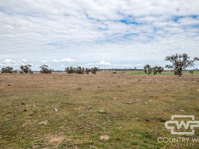 Lot Plain View South, 916 Emmaville Road, Glen Innes
