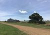 ‘Terutani’ 1097 Davys Plains Road, Cudal