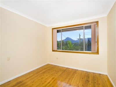 81 Murray Park Road, Figtree