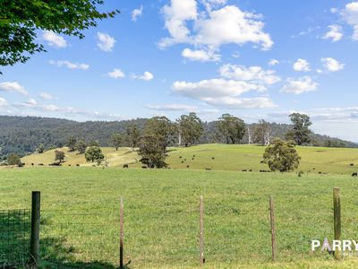 31692 Tasman Highway, Derby