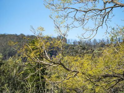 64 Wattle Street, Fishermans Paradise
