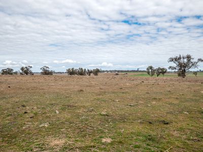 Lot Plain View Aggregation, 916 Emmaville Road, Glen Innes