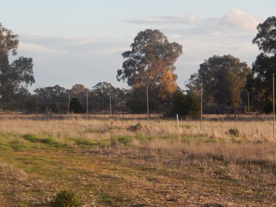899 River Road, Murrabit West