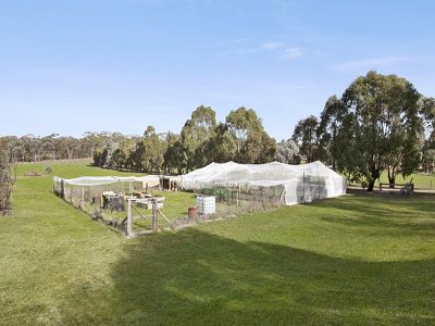 91 Tehan Court, Heathcote