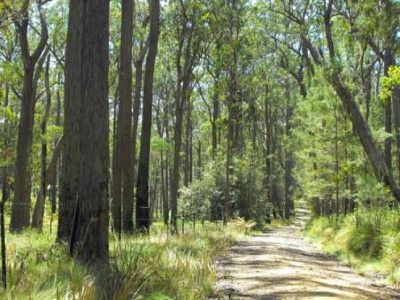 Grafton Road, Glen Elgin