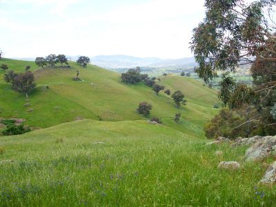 Flagstaff Road, Bethanga