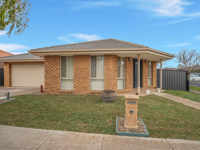 31 Nighthawk Road, Tarneit