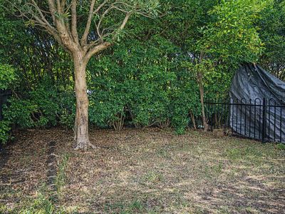 1 / 37 Ferguson Avenue, Wiley Park