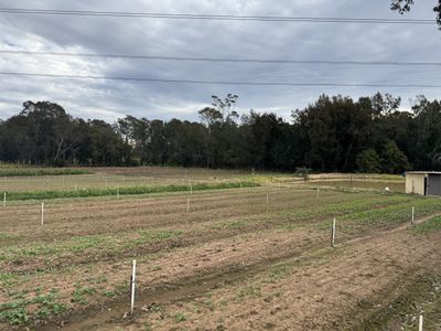 203 Heath Road, Leppington