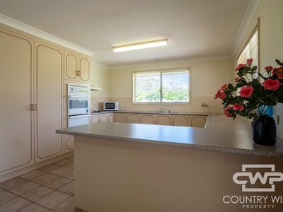 19 Potter Parade, Glen Innes