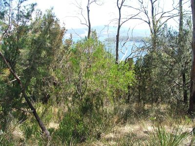 109 Williams Road, Randalls Bay