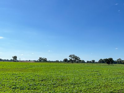 209 Rockliffs Road, Strathmerton