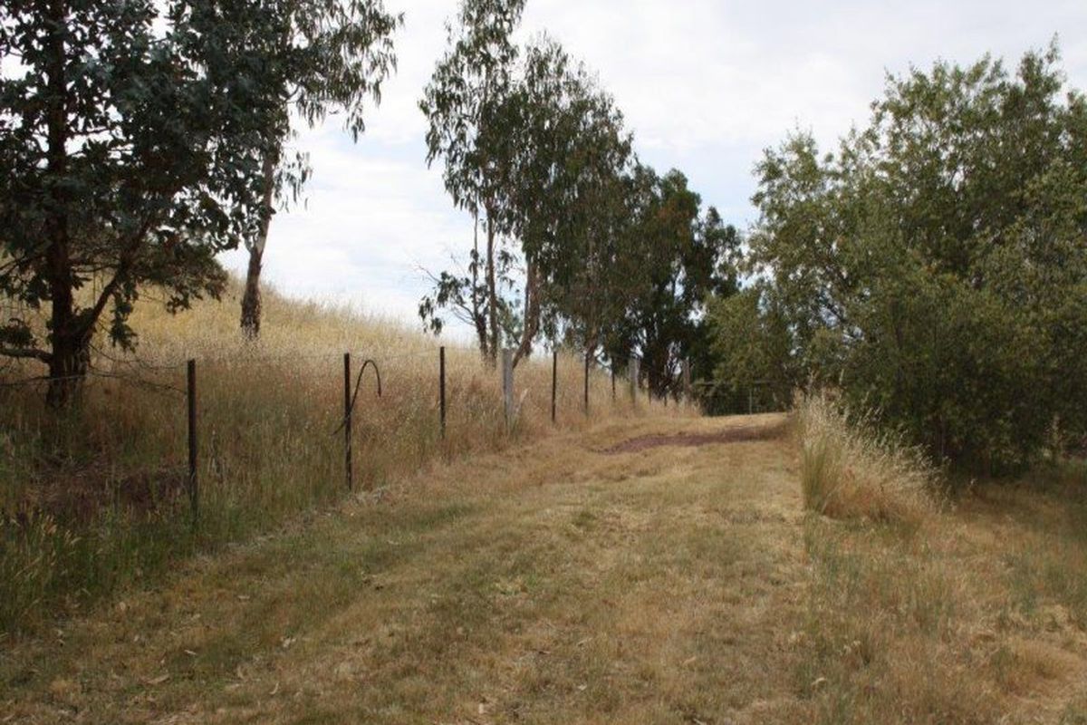 1305 Mount Buller Road, Merrijig