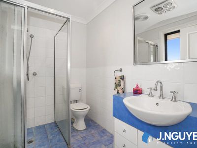 17 Foxlow Street, Canley Heights
