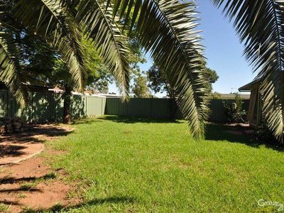 427 Wheelers Lane, Dubbo