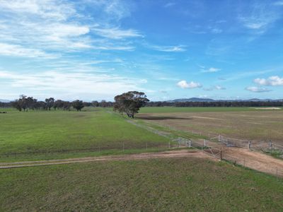 'Willowbank' Urana Road, Jindera