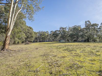 654 Abels Bay Road, Eggs And Bacon Bay
