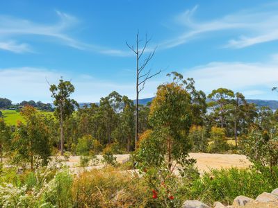 13 Eva Gully Road, Brooks Bay