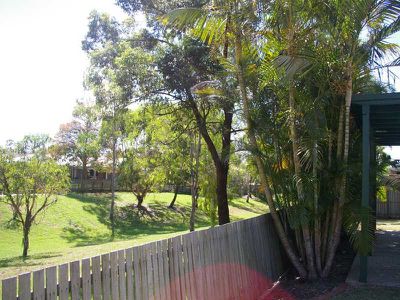 Flinders View