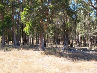 11 Twin Rivers Lane, Grove