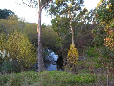 68 O'Hallorans Road, Geeveston
