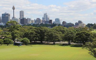 66 / 77 Cook Road, Centennial Park