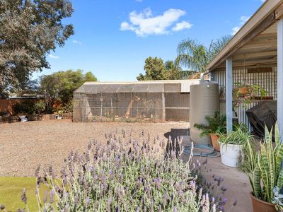 24 York Street, Boulder