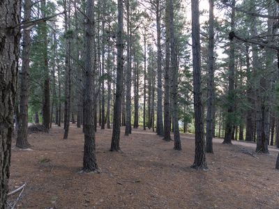 610 Mount Macedon Road, Mount Macedon