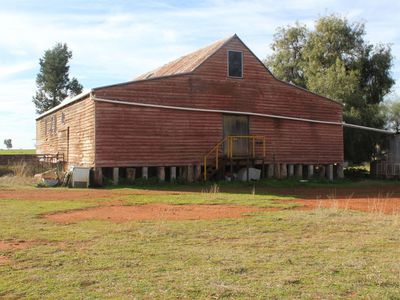3166 Back Trundle Road, Parkes