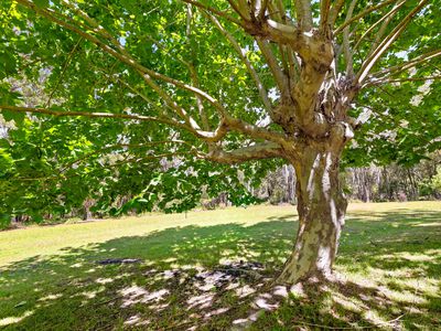 343 Bingie Road, Bingie