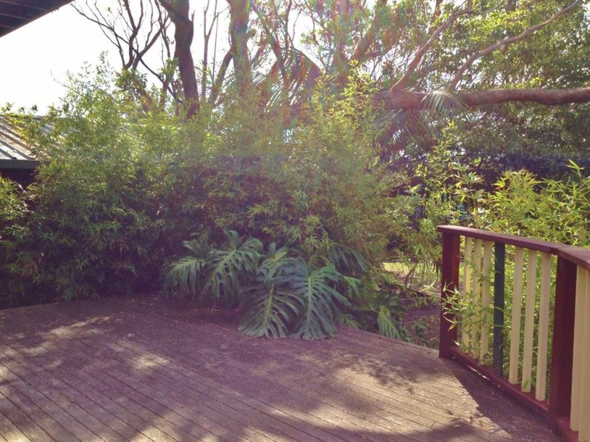 17 Martin Avenue, Ulladulla