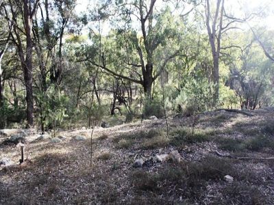 Lot 24 Tilly Willy Road, Coolah