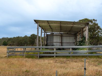 202 Dingo Flat Road, Tingledale