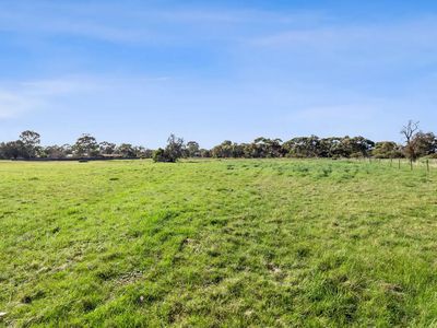 Lot 31, 87-91 Dyer Street, Rupanyup