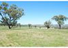 655 Stapletons Road, Molong