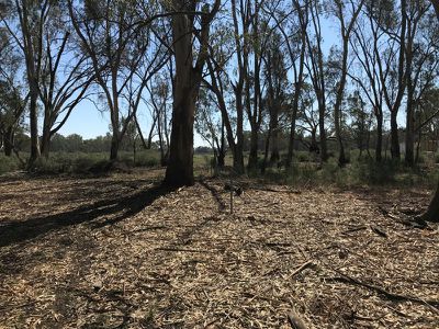14 / Edward River Road, Moulamein