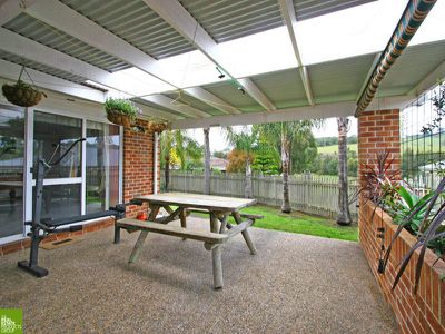 Blackbutt